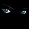 Tigin nickli �yeye ait kullan�c� resmi (Avatar)